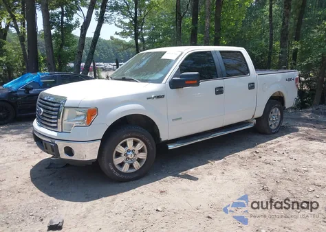 2011 Ford F-150 Xlt z USA, uszkodzony, nr VIN 1FTFW1ET3BFB56681